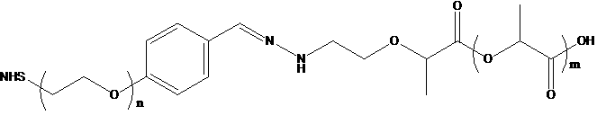 PLA-Hyd-PEG-NHS