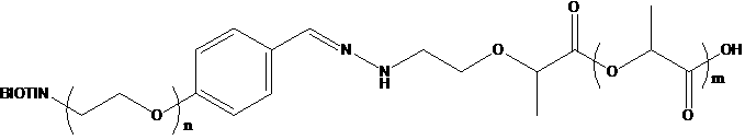 PLA-Hyd-PEG-Biotin