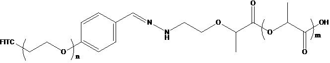 PLA-Hyd-PEG-FITC