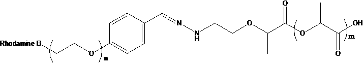 PLA-Hyd-PEG-Rhodamine B