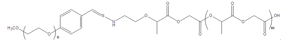 mPEG-Hyd-PLGA