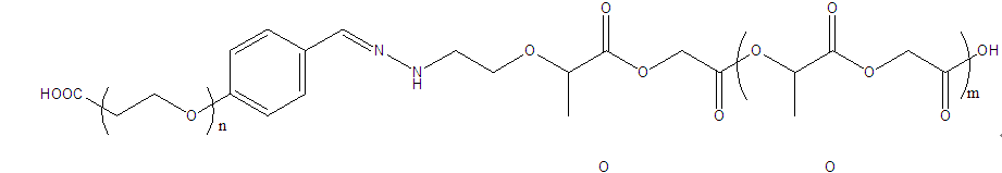 PLGA-Hyd-PEG-COOH