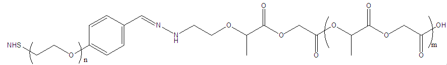 PLGA-Hyd-PEG-NHS