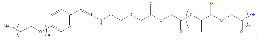 PLGA-Hyd-PEG-MAL
