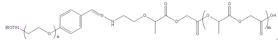 PLGA-Hyd-PEG-Biotin