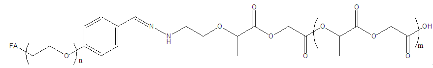 PLGA-Hyd-PEG-Folate