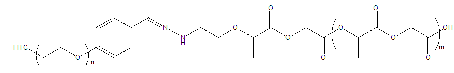 PLGA-Hyd-PEG-FITC