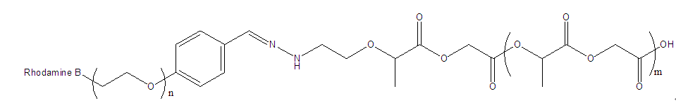 PLGA-Hyd-PEG-Rhodamine B