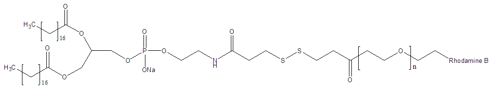 DSPE-SS-PEG-Rhodamine B