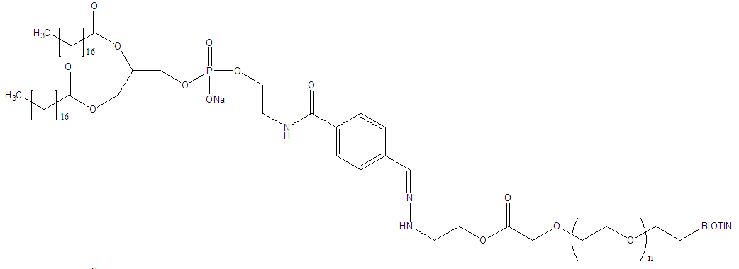 DSPE-Hyd-PEG-Biotin