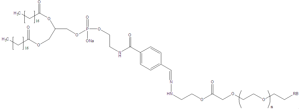 DSPE-Hyd-PEG-Rhodamine B