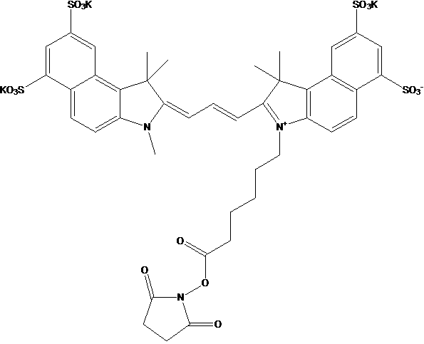 Sulfo Cyanine3.5 NHS ester