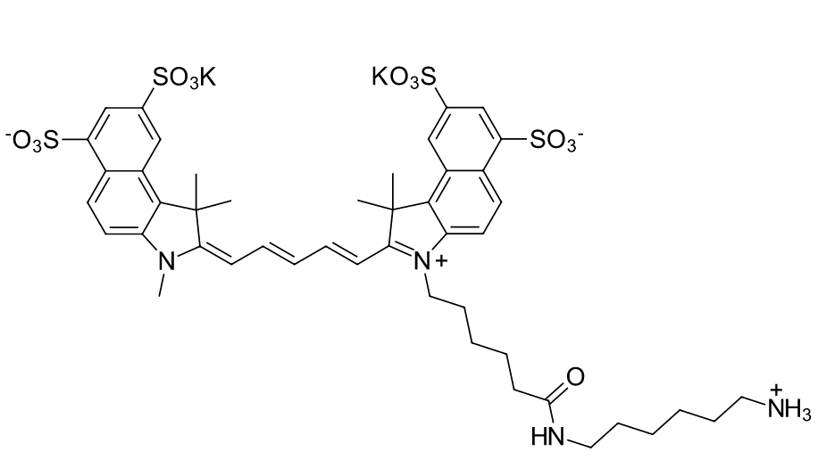 Sulfo Cyanine5.5 amine