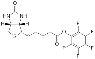 Biotin-PFP,CAS#:120550-35-8