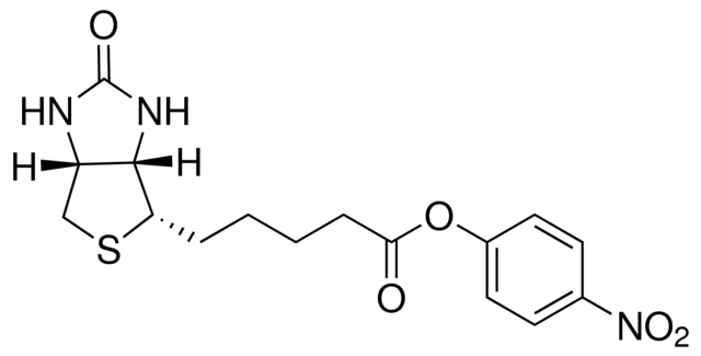 Biotin-ONP,CAS#: 33755-53-2