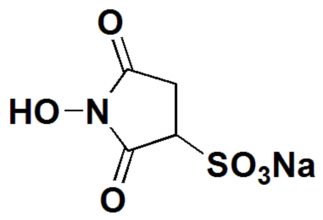 Sulfo-NHS,CAS:# 106627-54-7