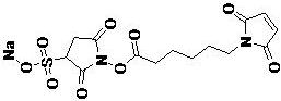 Sulfo-EMCS，CAS:# 215312-86-0