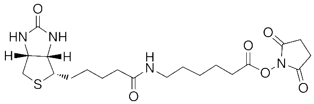 N-Succinimidyl 6-Biotinamidohexanoate,CAS:#72040-63-2