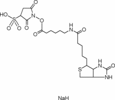 Biotinamidohexanoic acid 3-sulfo-N-hydroxysuccinimide ester sodium salt