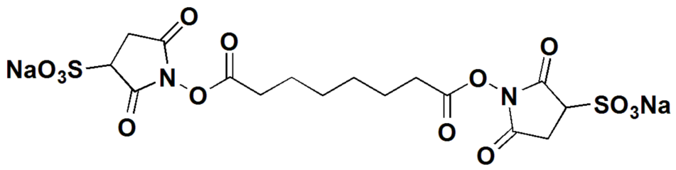 BS3 crosslinker,CAS#: 82436-77-9