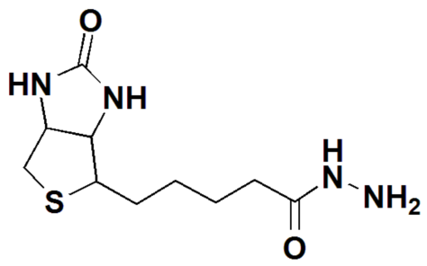 Biotin Hydrazide,CAS#: 66640-86-6 