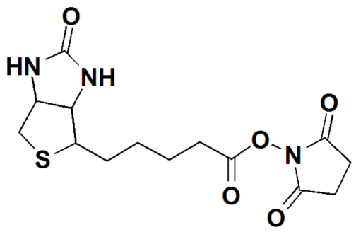 NHS-Biotin,CAS#: 35013-72-0