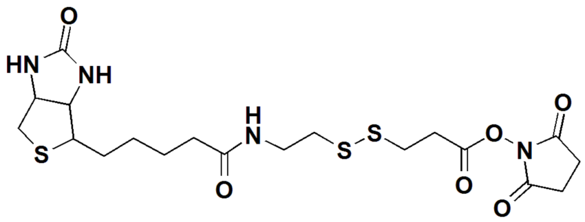 NHS-SS-Biotin,CAS#: 142439-92-7