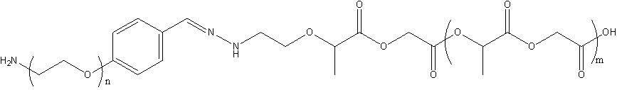 PLGA-Hyd-PEG-NH2