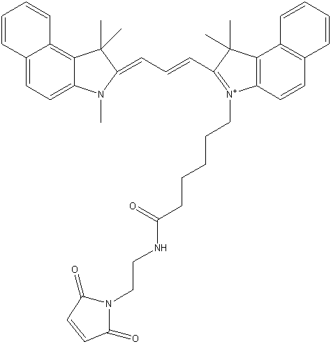 Cyanine3.5 Maleimide