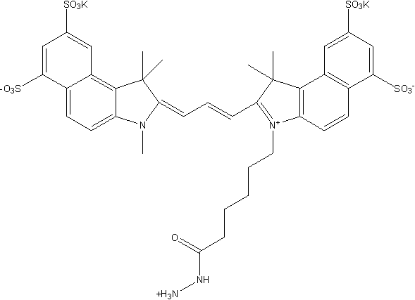 Sulfo Cyanine3.5 hydrazide