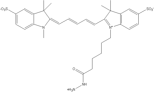 Sulfo Cyanine5 hydrazide