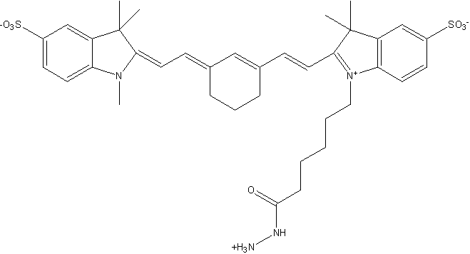 Sulfo Cyanine7 hydrazide