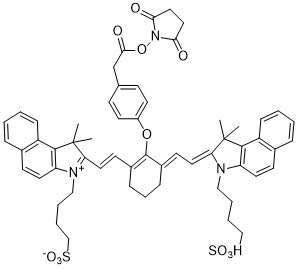 IR825 NHS ester