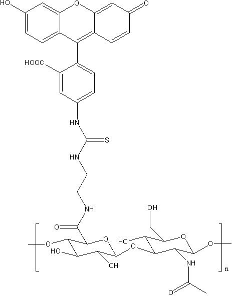 Hyaluronate-Fluorescein