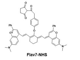 Flav7-NHS ester