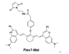 Flav7-Maleimide