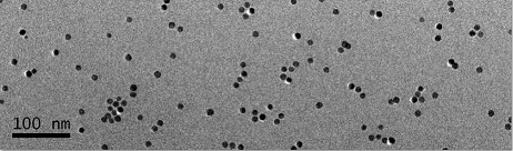 Carboxyl functional DMSA@Fe3O4 nanoparticles