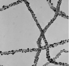 CNT-Palladium NPs composites）10ml，concentration:0.05mg/ml