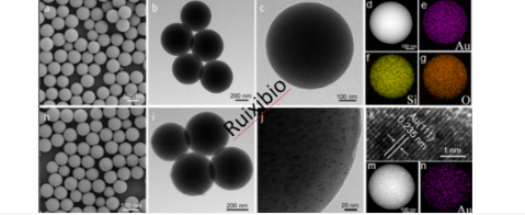 Mesoporous silica nanorods