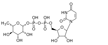 UDP-rhamnose