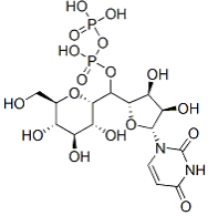 Udp-glucose