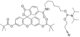 6-FAM amidite 