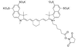 Sulfo Cyanine7.5 NHS ester