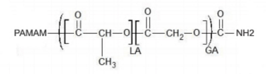 PAMAM-PLGA-NH2