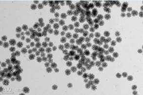 Dendritic porous silica nanoparticles （Particle size 110nm, aperture 15nm） 