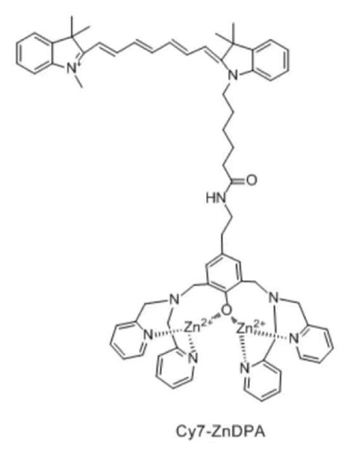 Cy7-ZnDPA,Cyanine7-zinc-dipicolylamine