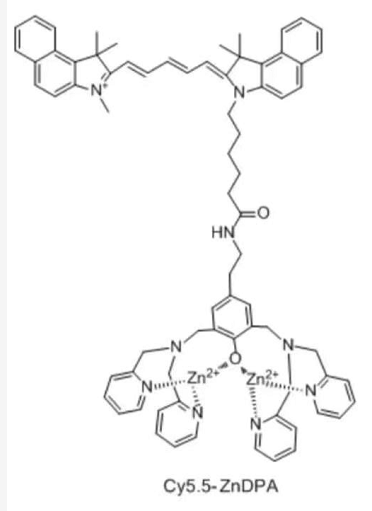 CY5.5-ZnDPA,Cyanine5.5-zinc-dipicolylamine