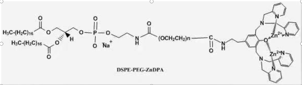 DSPE-PEG-ZnDPA