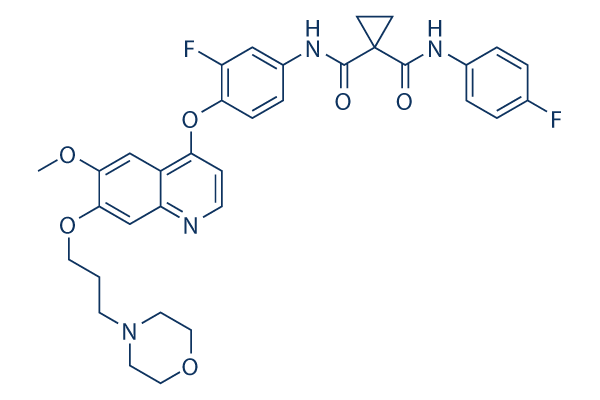 Foretinib(XL880)   CAS:849217-64-7