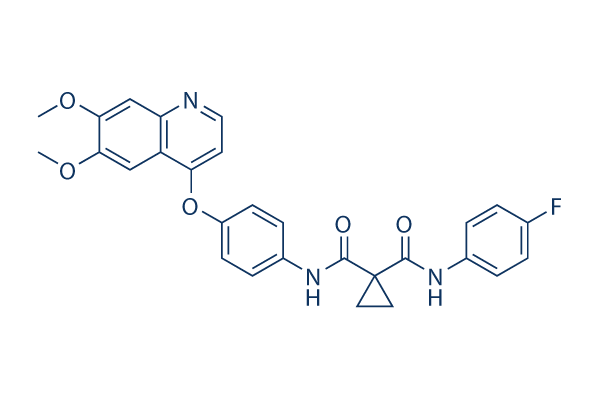 Cabozantinib (XL184，BMS-907351)    cas:849217-68-1